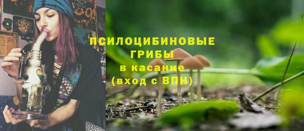 МДПВ Абаза