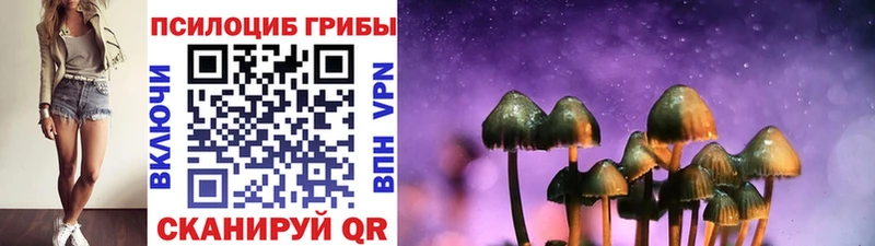 Псилоцибиновые грибы GOLDEN TEACHER  купить  сайты  Нефтеюганск 